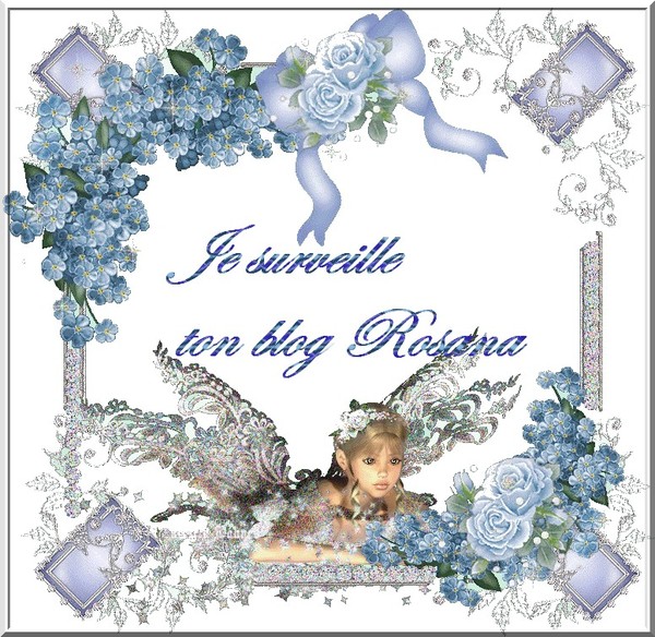 BELLES  IMAGES 